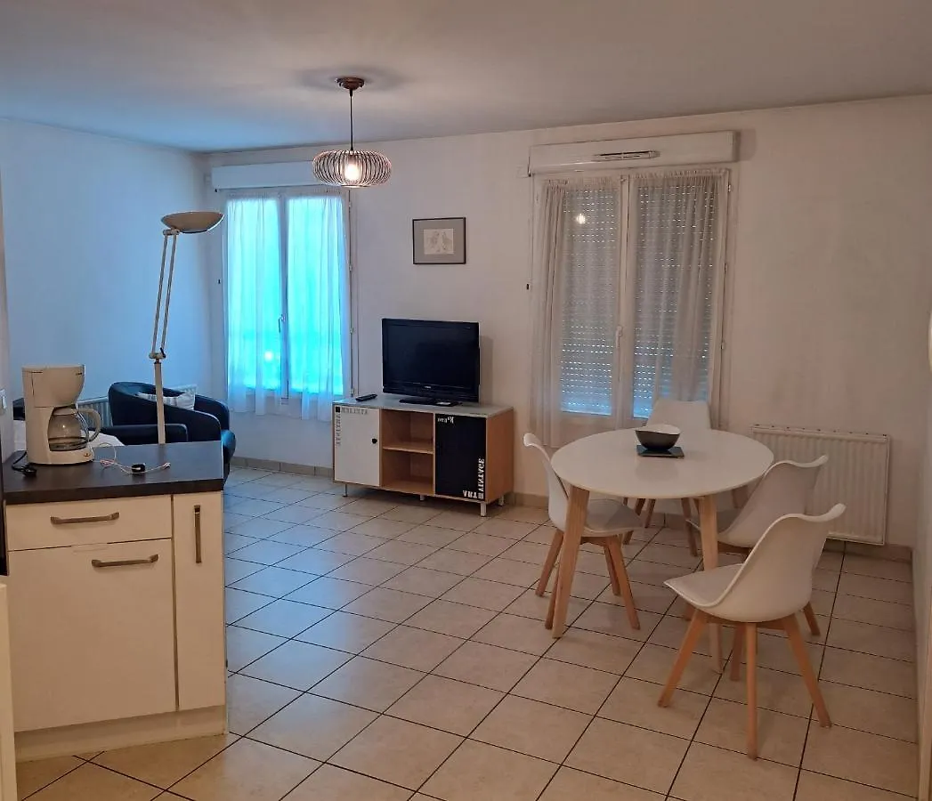 Le Meynis Apartment Lyon France