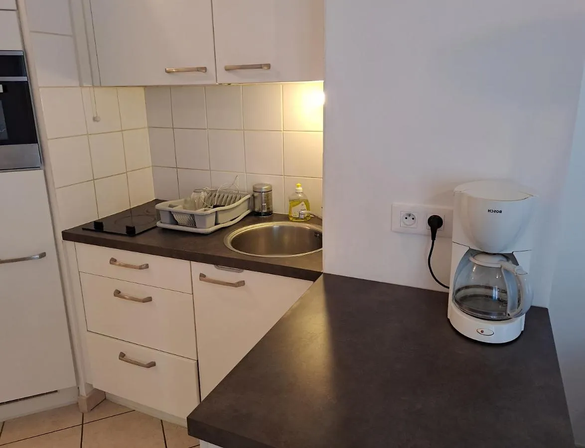 Le Meynis Apartment Lyon